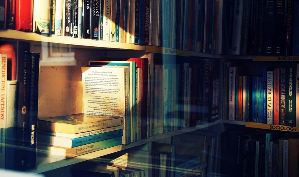 shelves of books