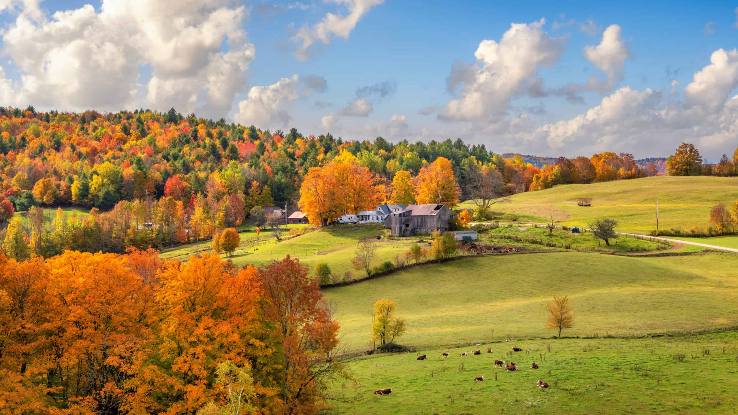AdobeStock_347593623